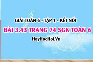 Giải bài 3.43 trang 74 Toán 6 Tập 1 SGK Kết nối tri thức